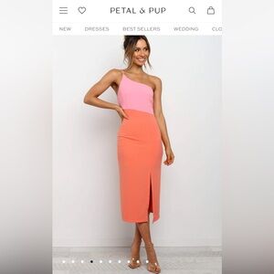 Petal & Pup Xiomar Dress - Orange and Pink One-Shoulder dress